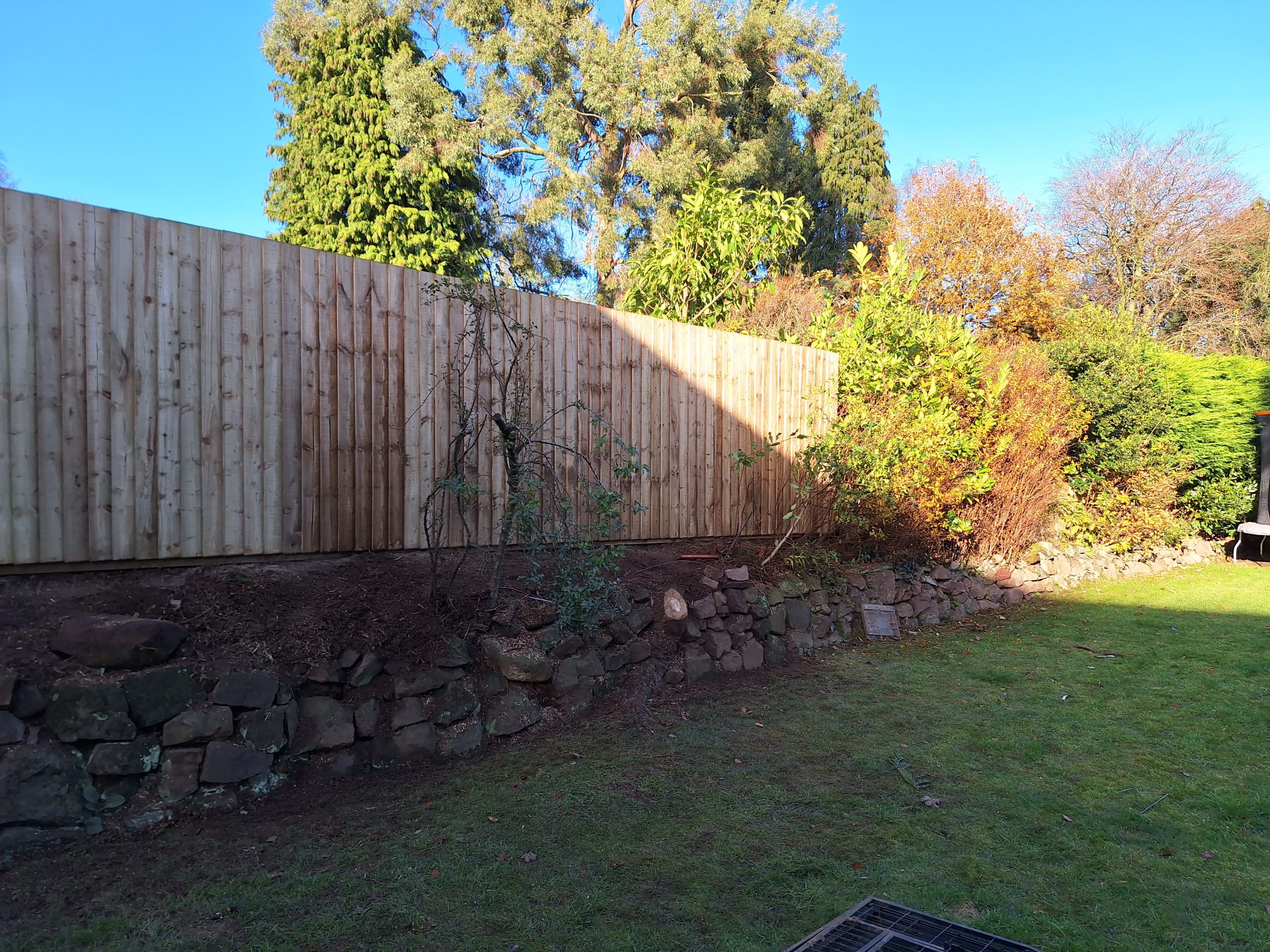 Timber panel fence with posts