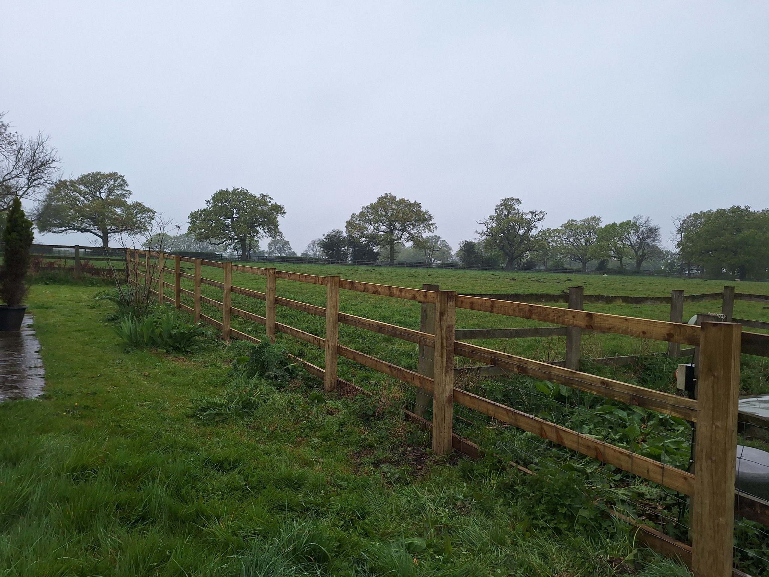 Post and rail fence across field, wide view