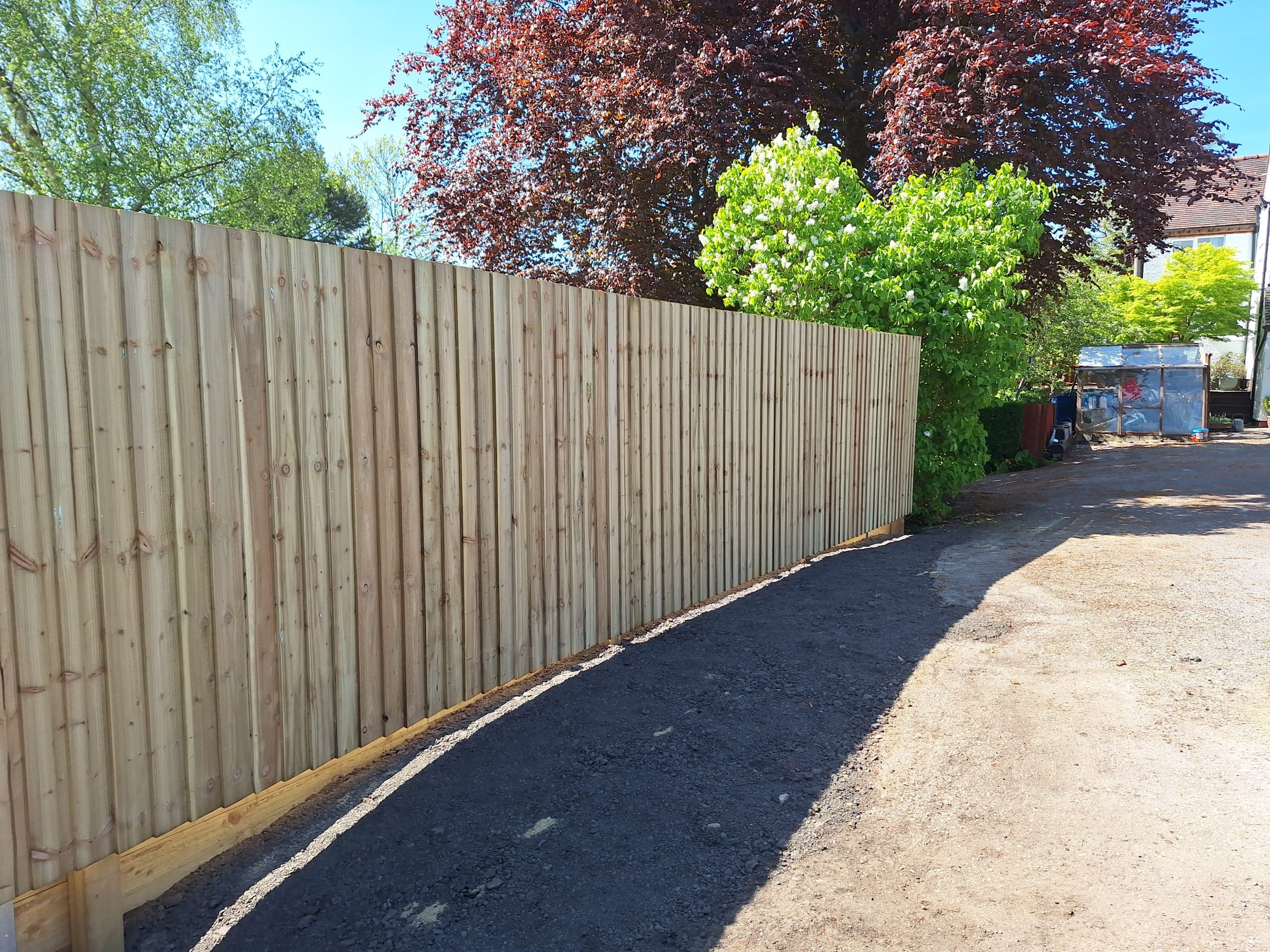 Close board fence alongside spring garden path