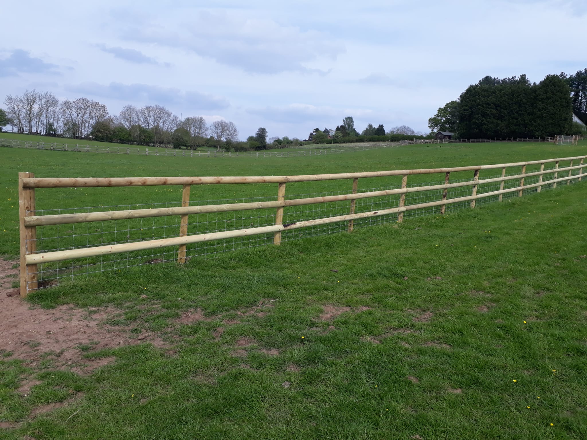Post & rail, open field