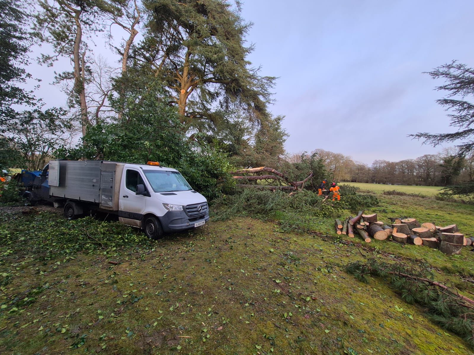 Felling, team on site