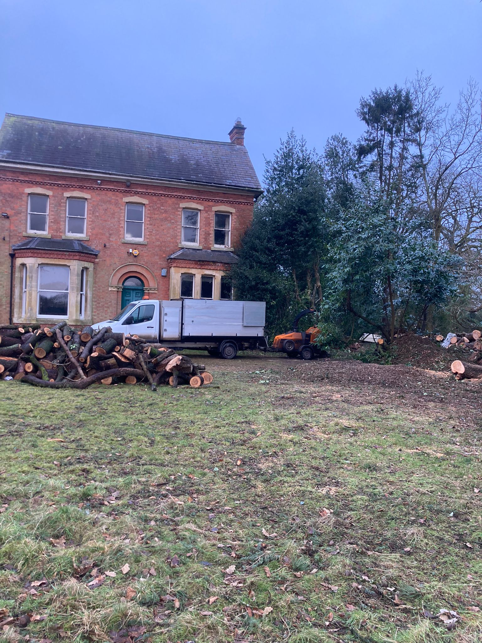 Tree felling