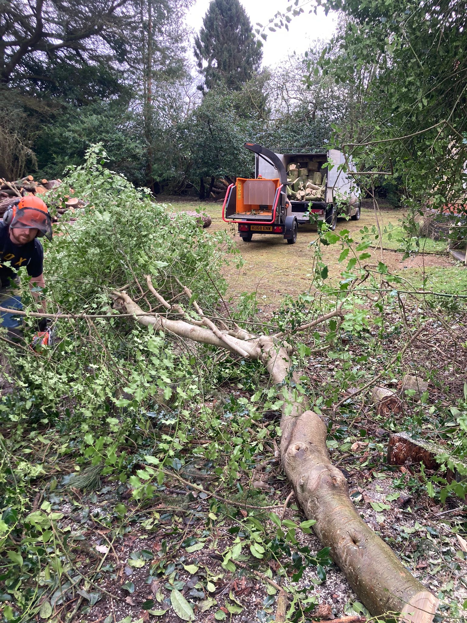Site clearance