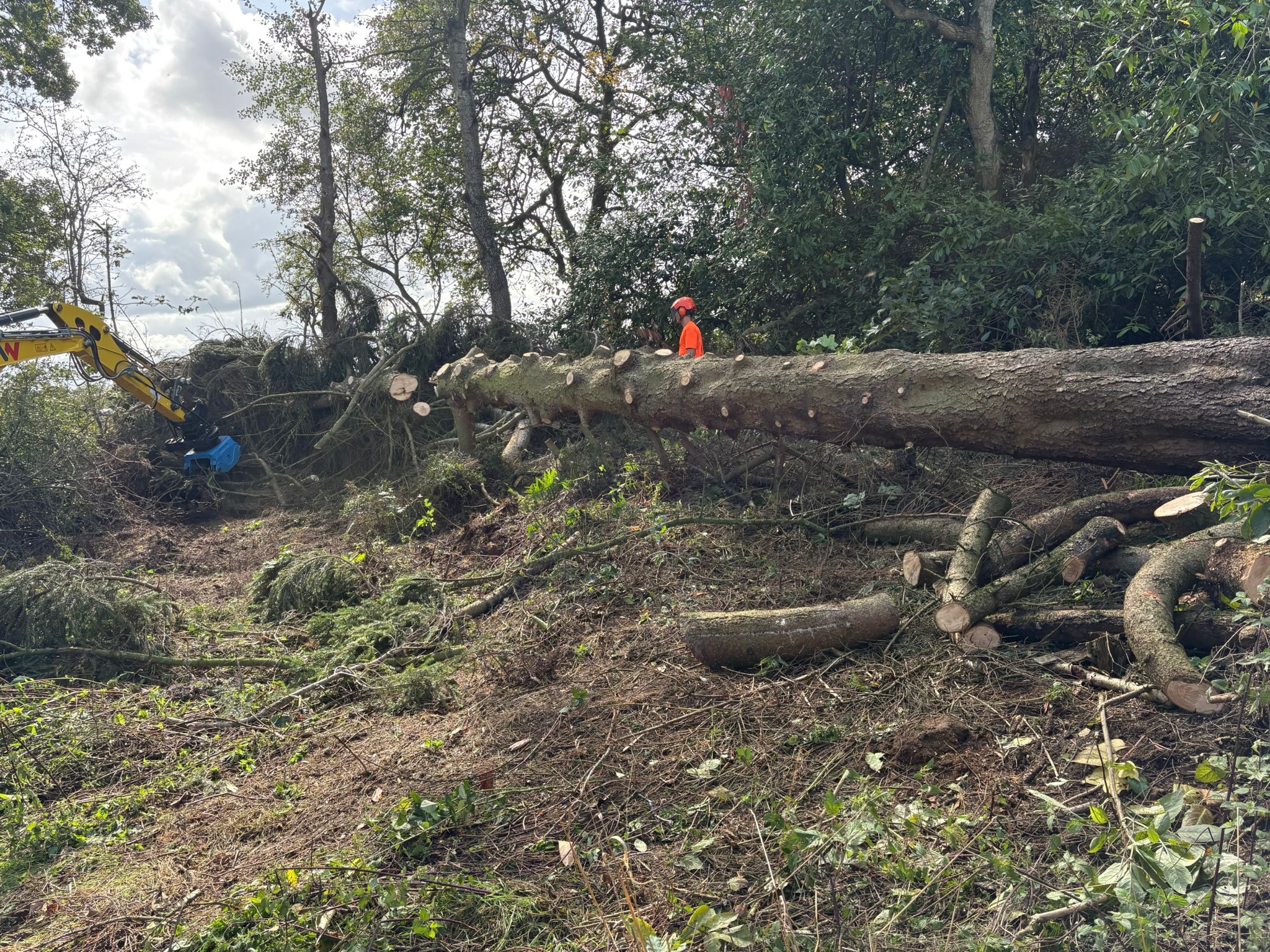 Site clearance