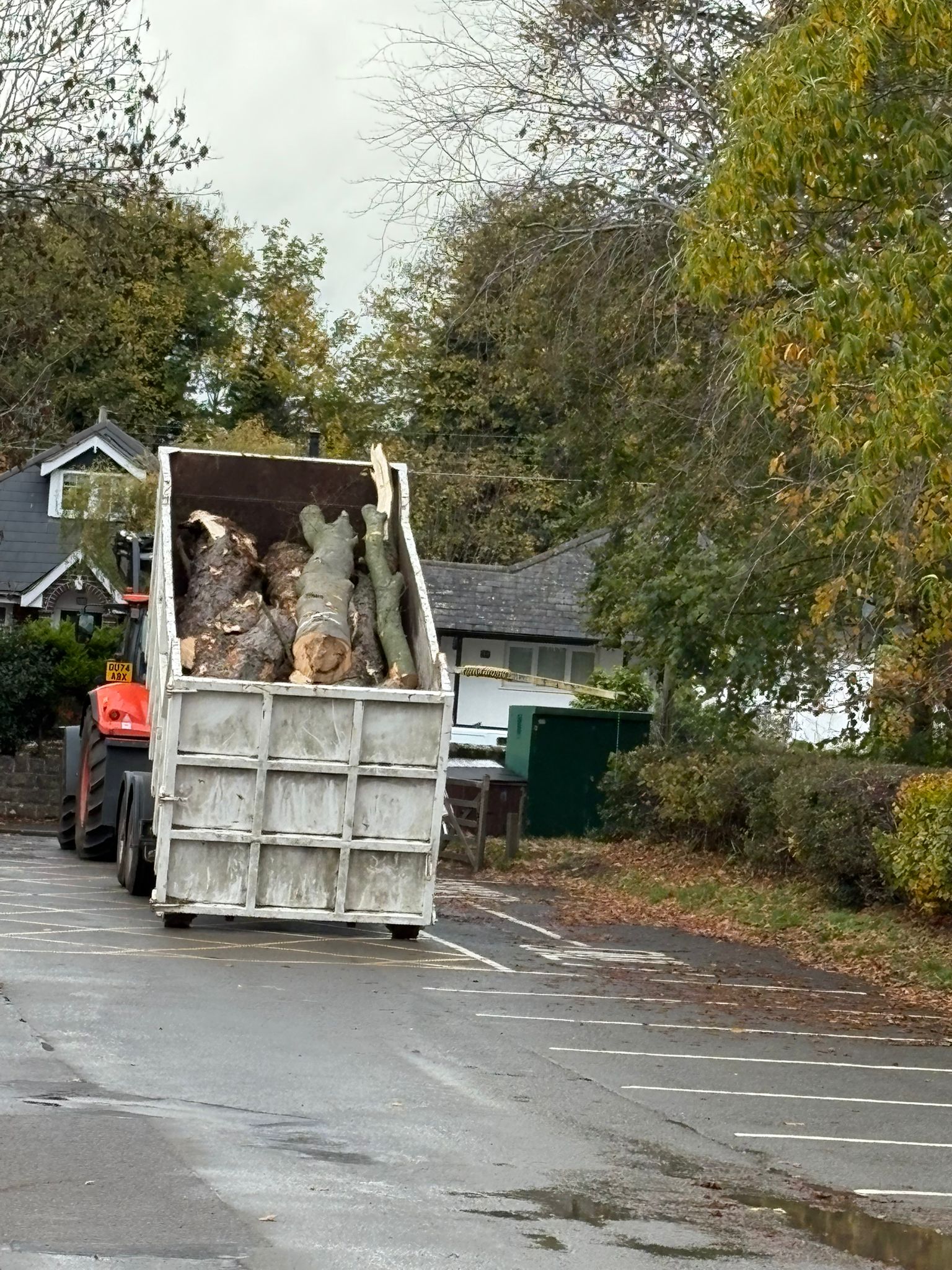 Site clearance timber removal